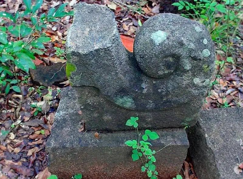 Ruins of Ancient Kurundumale (Kurundavashoka) Viharaya in Mullaitivu